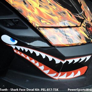 Spyder Teeth graphics kit.  
ORDER 814-838-6377