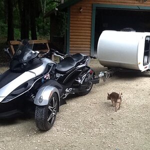 For Sale My Little Guy trailer 4X8 only 490lbs. pickup only North Florida. only $ 3,500.00.  REDUCE PRICE TO SALE NOW.