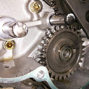 Toothless Gear