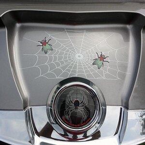 Spyder web fly 9