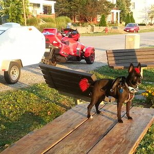 CamperSept2013 7