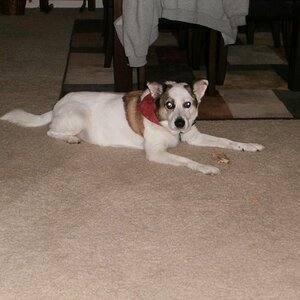 buster
