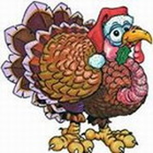 Turkey2