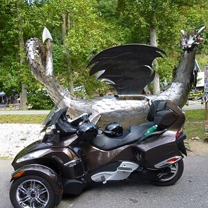 Dragon TN