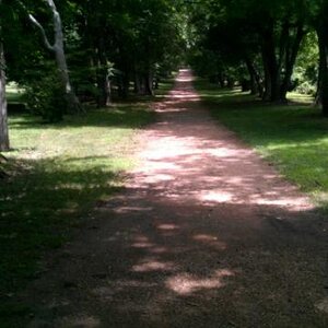 berkelyplantation5