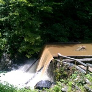 blueridgeparkway9