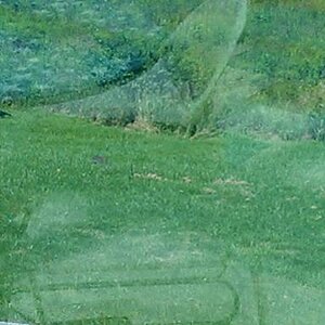IMAG0691