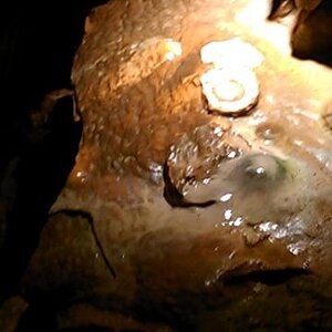 luray caverns61