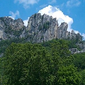 IMAG0698