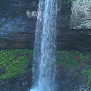 IMAG0907