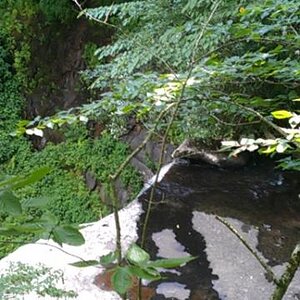 IMAG0901