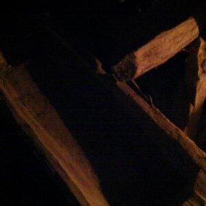 IMAG0887