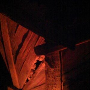 IMAG0886