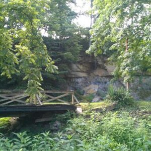 IMAG0875