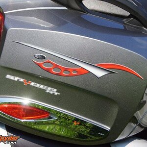 Cosmos Red 7