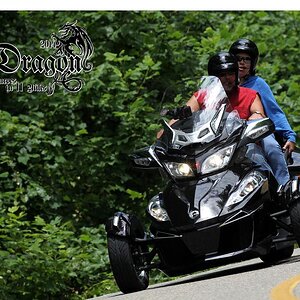 Dragon's Tail 2014