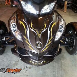 Barbwire 101 gold 1