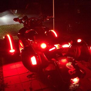 rear at night