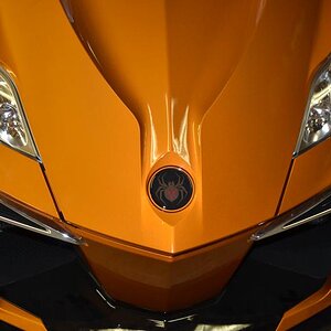 Spyder Decals Frunk