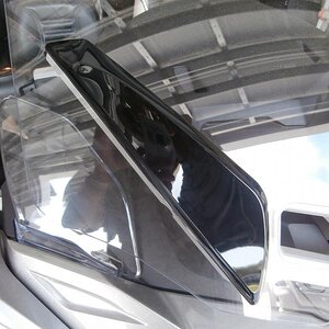 P4090009