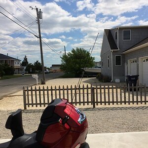 IMG 0185