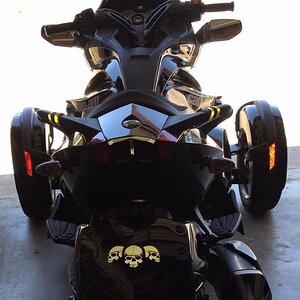 itc skulls