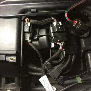 IMG 0215
