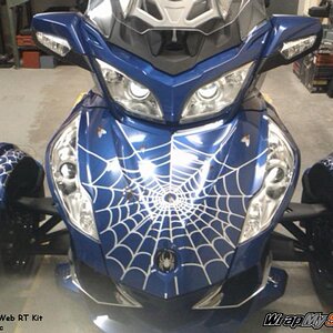 Spider web fly