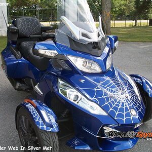 Spider, Web, Fly