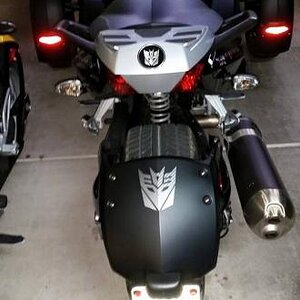 Fine Rear End