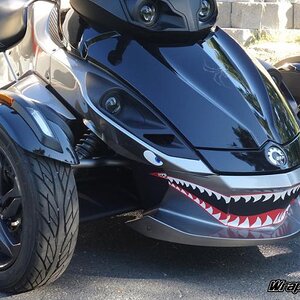 Spyder Teeth