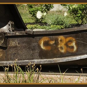 PS DSC4134