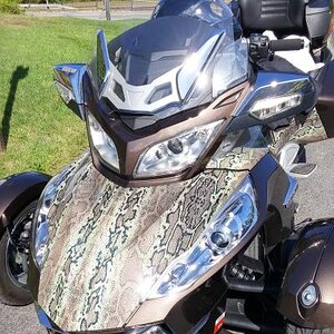 Snake skin graphics