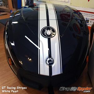 Pearl White GT stripes RT622