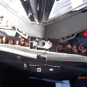 pecan storage
