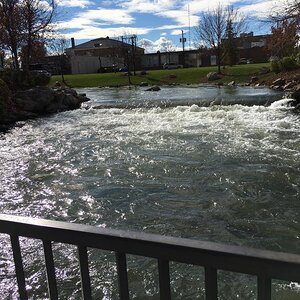IMG 0278