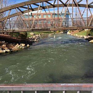 IMG 0258