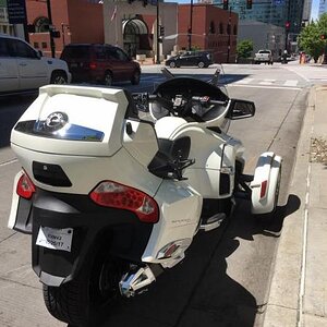 Rob'sspyder003