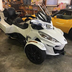 IMG 0253