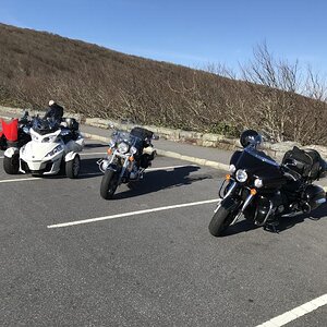 IMG 0719