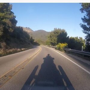 spy shadow2