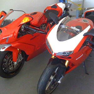 Italian stallions..