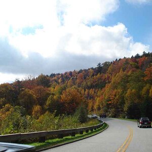 parkway 7