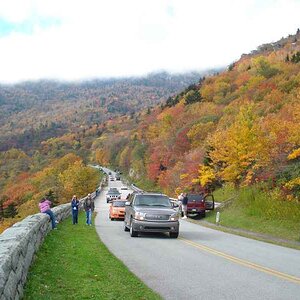 parkway 12