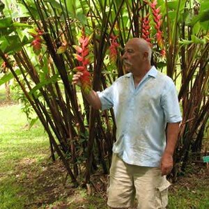 oahu 09