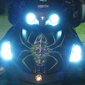 NMN HID's X 4