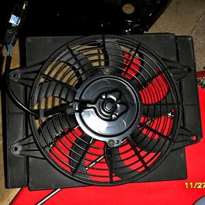 SAM 0091sm