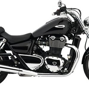 t bird2