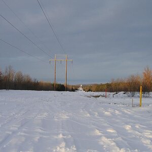IMG 7782