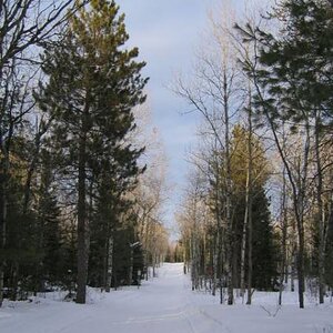 IMG 7781
